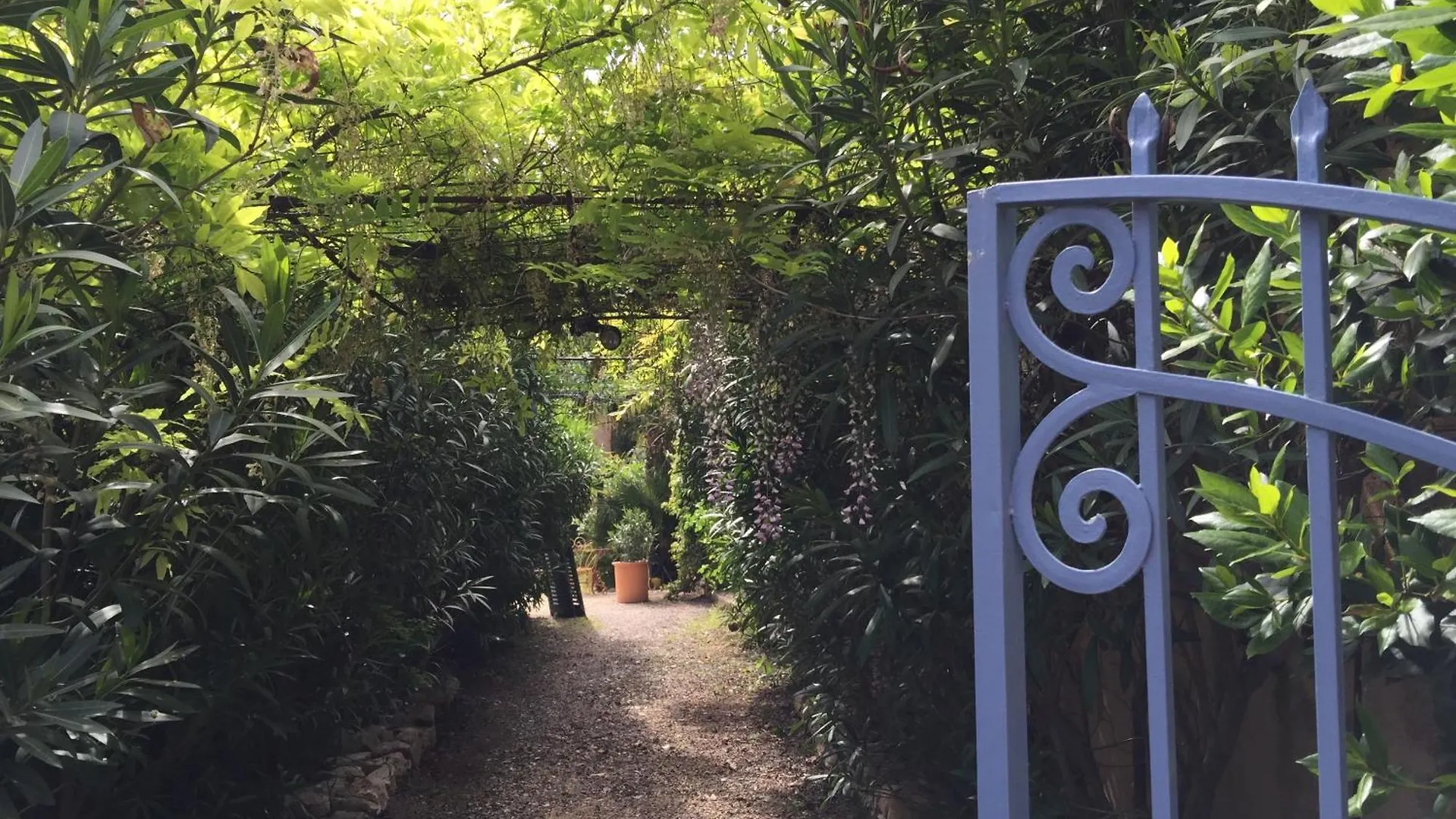 Un Jardin Pres De La Plage Hyères Francie